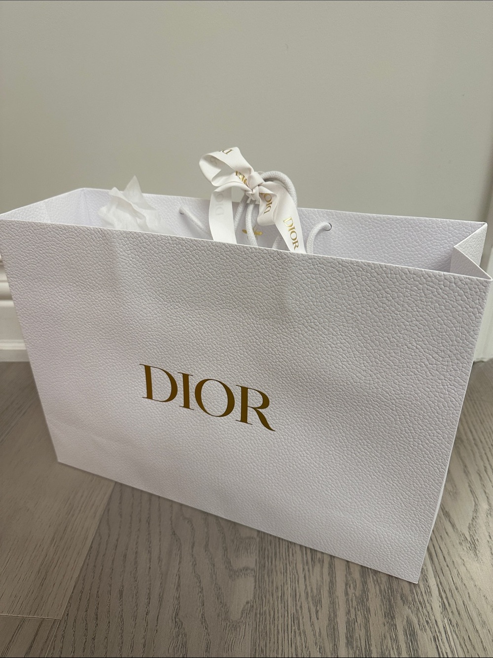 Dior White Bag with Gold Logo